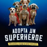Federico Gutiérrez presentó Adopta un Superhéroe: más queuna campaña, una oportunidad de amor para 2.100 perros
