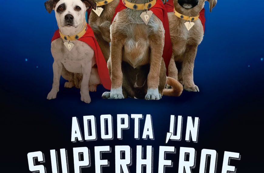Federico Gutiérrez presentó Adopta un Superhéroe: más queuna campaña, una oportunidad de amor para 2.100 perros