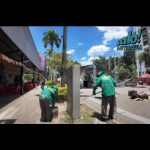 Medellín impulsa 34 jornadas de limpieza para una Feria de las Flores más sostenible