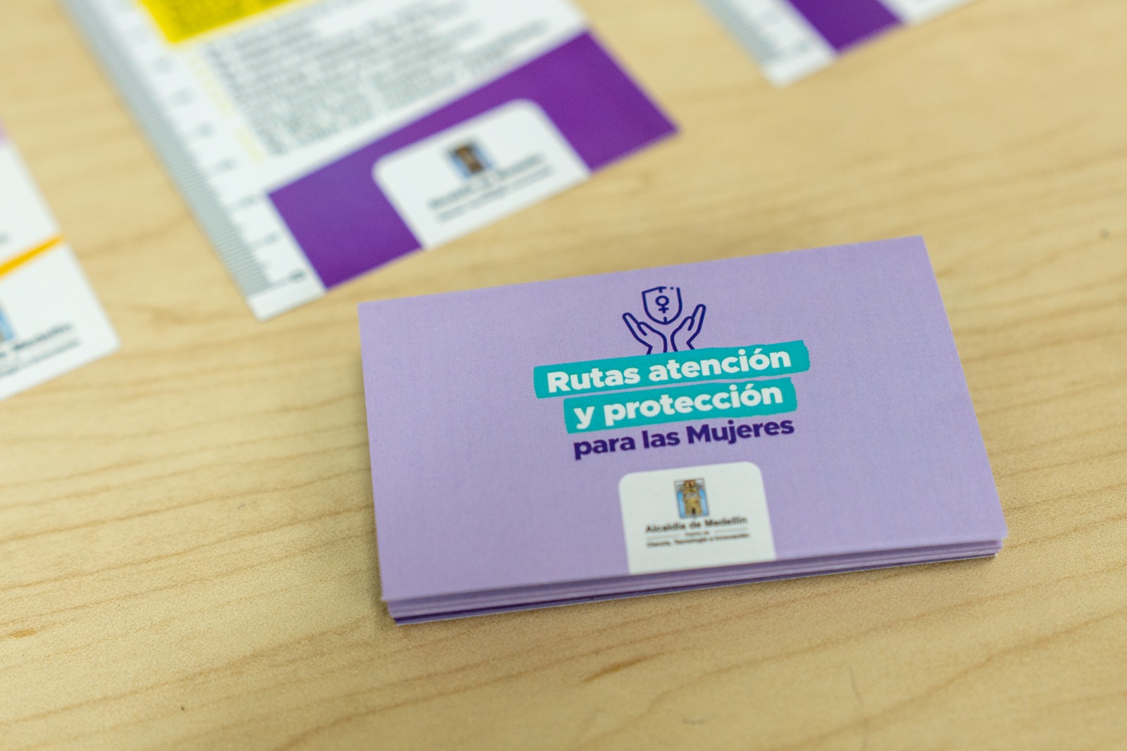 Medellín como Referente Nacional en la Prevención de las Violencias Basadas en Género: Un Modelo Integral y Transformador