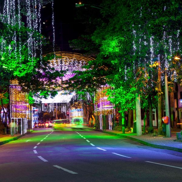 El Centro de Medellín se Viste de Fiesta con Novenas, Cultura y Recreación Navideña